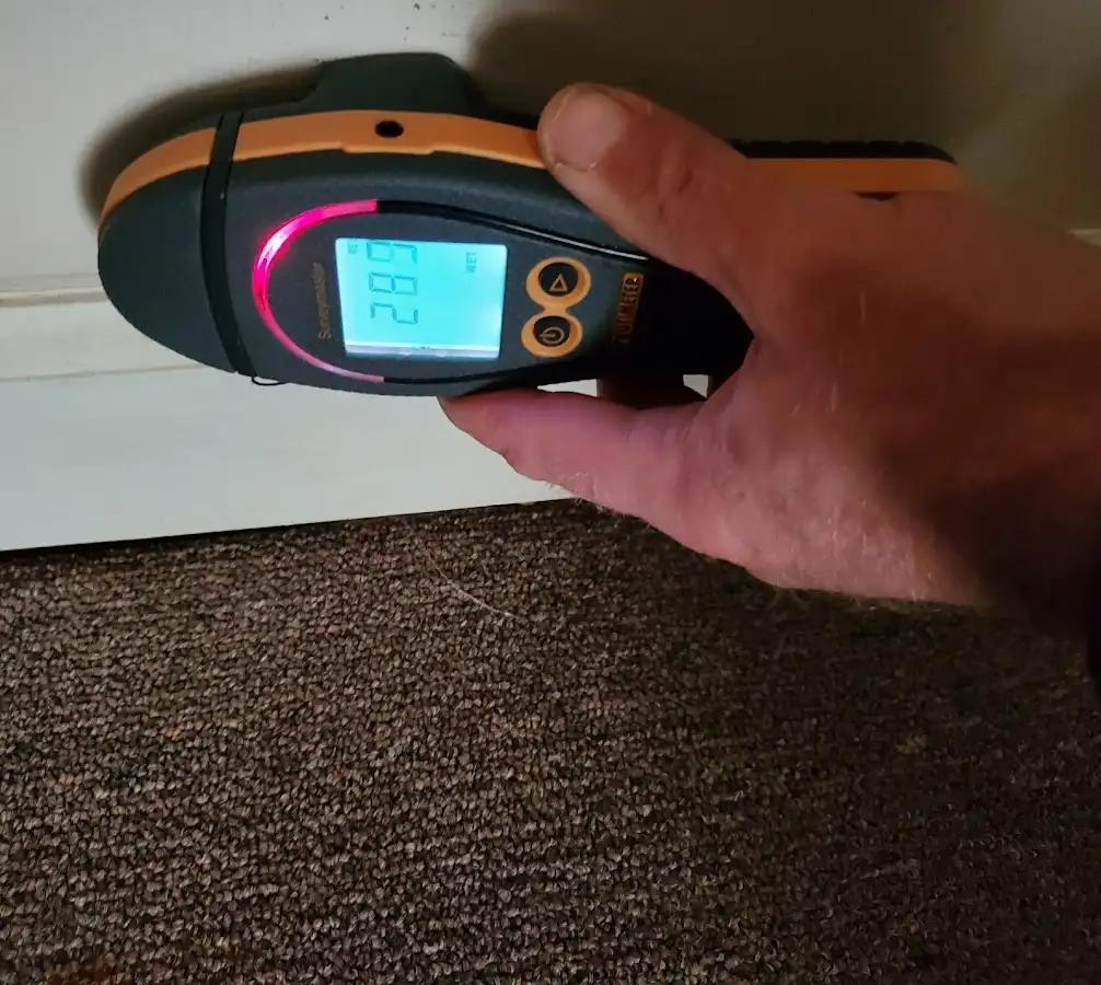 Moisture detection at baseboard during Mold Inspection & Testing in Monroe